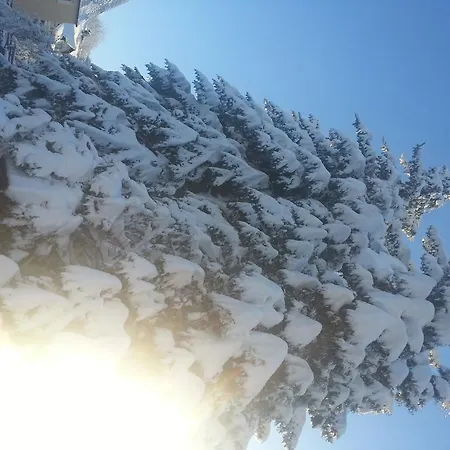 ゲストハウス Zur Wartburg